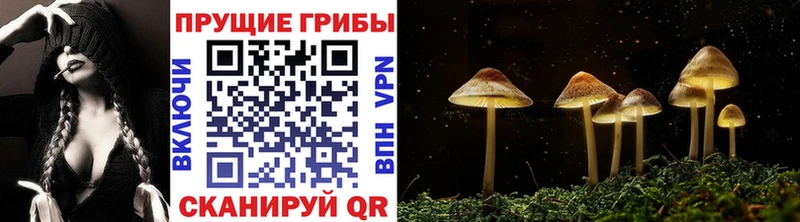 Галлюциногенные грибы GOLDEN TEACHER  Серов 