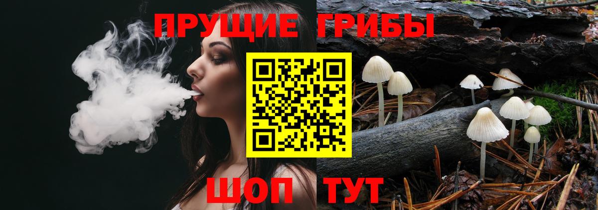 купить   Вход с VPN  Серов  Галлюциногенные грибы GOLDEN TEACHER 